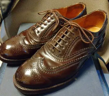 유케텐 코도반 브로그 신발