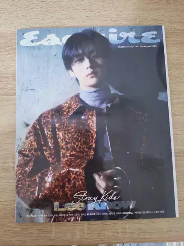 Esquire 2023년 8월호 Stray Kids 특집