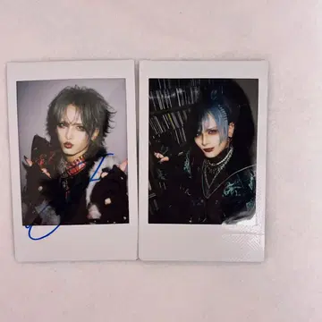 Royz 스바루 폴라로이드