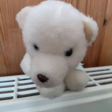 초레어 구 산리오 북극곰 봉제 인형 손바닥 사이즈