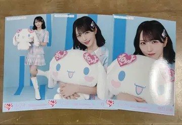 이코러브 시나몬 콜라보 브로마이드 노멀 노구치 이오리 3종 컴플리트 세트