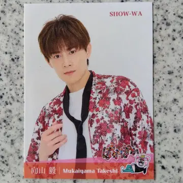 무카이야마 타케시 SHOW-WA 신 포카포카 스티커 타케짱