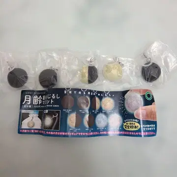 월령 축광 메지루시 마스코트 5개