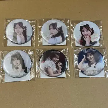 CANDYTUNE 타치바나 코토미 스키 복권 캔뱃지 6개 세트