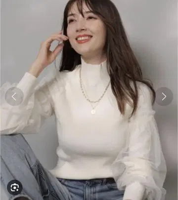 아푸와이저 리셰 소매 튤 니트