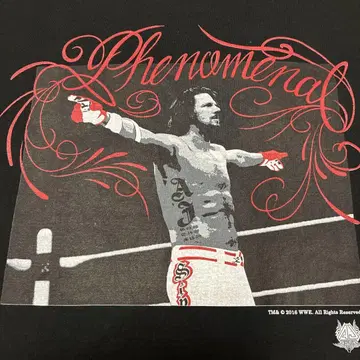 WWE 프로레슬링 T셔츠 AJ 스타일즈 홀로그램 포함 거의 새상품