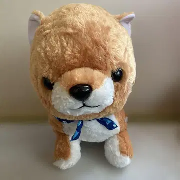 가격 인하 콩 시바 삼형제 빅 사이즈 마메타로 봉제 인형