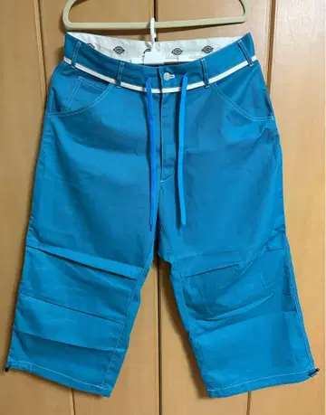 Dickies 디키즈 드로우 스트링 와이드 벌룬 팬츠