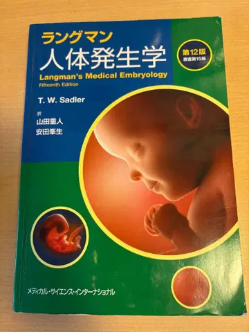 랭맨 인체 발생학 제12판