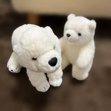아사히야마 동물원 시로쿠마 봉제 인형 2개 세트
