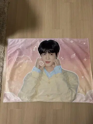 BTS 진 담요 jin
