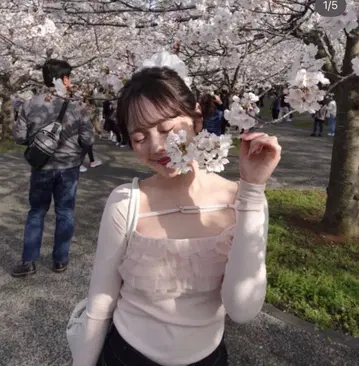 darich 핑크 프릴