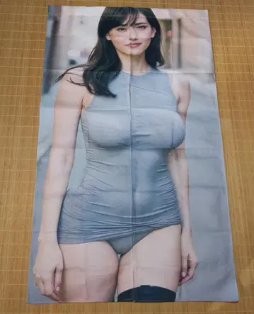 아야세 하루카 노렌 미사용 새상품!