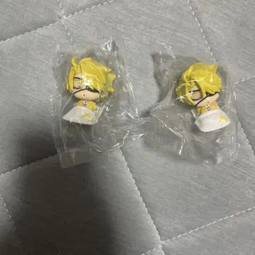 컬러풀 피치 타츠