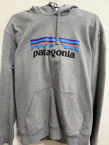 Patagonia 후드티