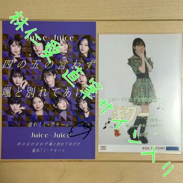 임인애 콜렉션 사진 엽서 (친필 사인) Juice=Juice