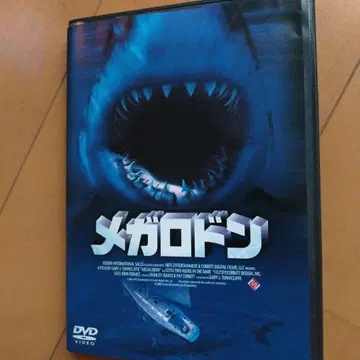 메가로돈('02미)