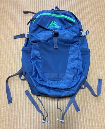 GREGORY 네이비 백팩