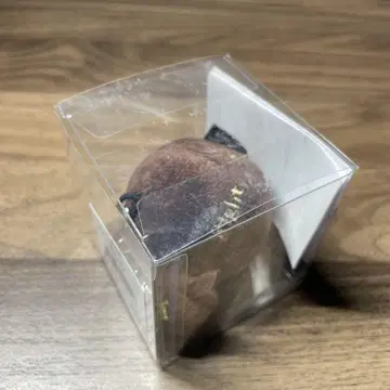 [ 무도관 완판 ] 양문학 [ 지금, 여기 ] 투어 양이 봉제 인형 키링
