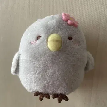 레어 스미코구라시 병아리? 영화 비밀의 아이 테노리 봉제 인형