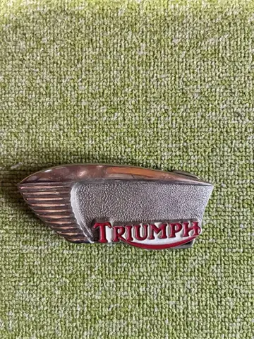 앤티크 TRIUMPH 핀형 버클