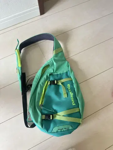 Patagonia 숄더백