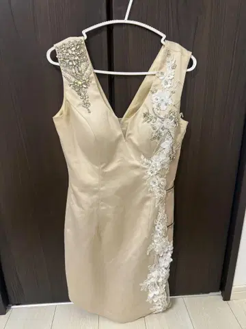 ROBE de FLEURS Glossy 베이지 드레스