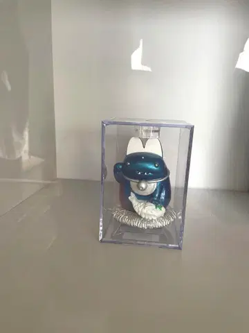 쇼코 나카자와 나카자와 쇼코 다이후쿠 블루