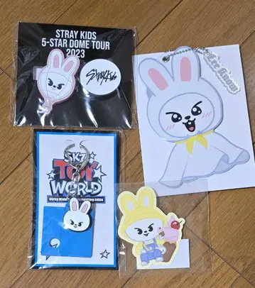 Stray Kids 리빗 굿즈 세트