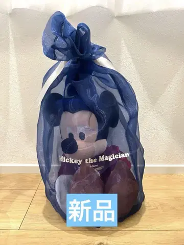 디즈니 영어 시스템 DWE 미키 the 매지션
