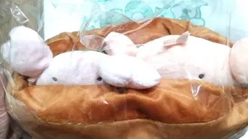 무엇이든 생물 제일복권 B상 카니에 새우개 봉제 인형
