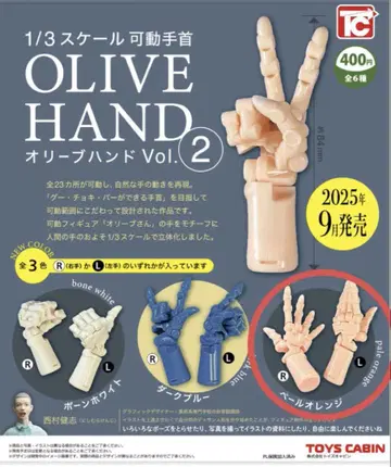 1/3 SCALE 가동 손목 올리브 핸드 Vol.2 페일 오렌지
