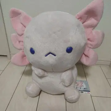 우사루파 BIG 봉제 인형 마가오