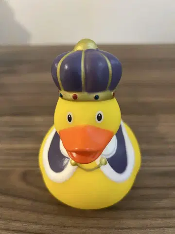 왕관 오리 러버덕