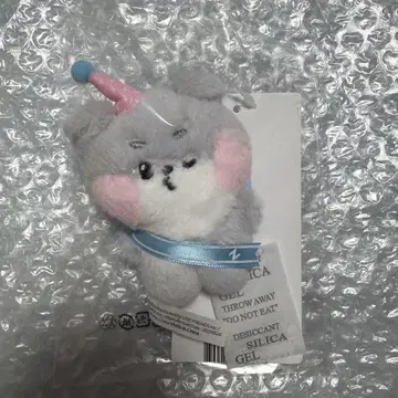 ZB1 제베원 미니 봉제 인형 키링 건욱 건이니