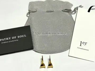 SYMPATHY OF SOUL 심퍼시 오브 소울 귀걸이 골드 후크