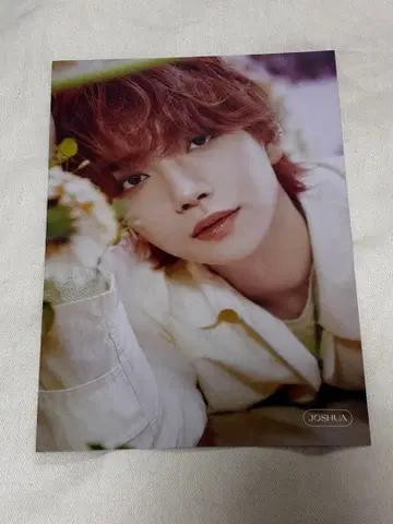 SEVENTEEN always yours 타워 레코드 플라이어 조슈아