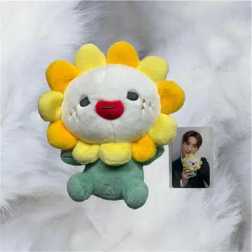 JOCHUM 제오참 빌라 villa 봉제 인형 트레이딩 카드 포함