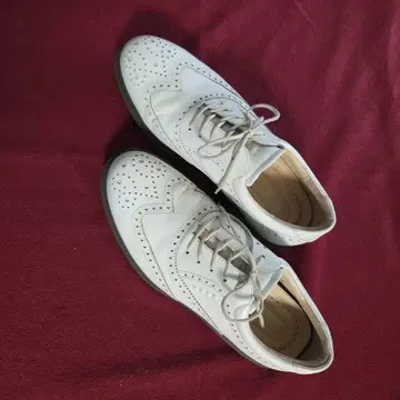 ECCO 화이트 골프 신발 여성용