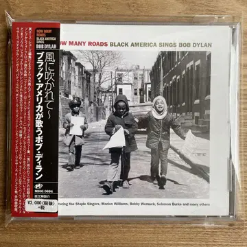 HOW MANY ROADS BLACK AMERICA SINGS
