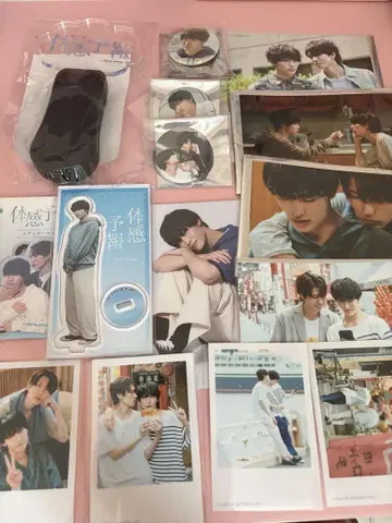 체감 예보 마시코 아츠키
