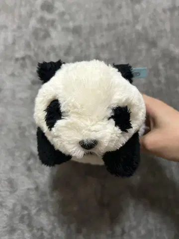 우에노 동물원 RiRi