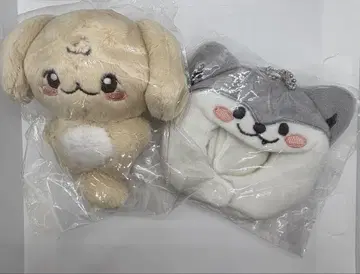 ENHYPEN JAKE ENHAz 10cm 모자 달린 인형