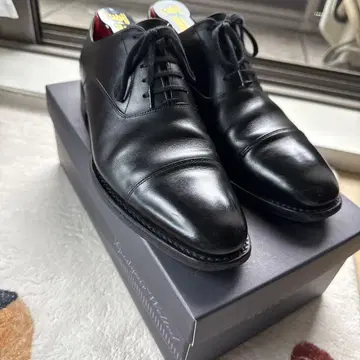 SCOTCH GRAIN 오데사 24cm