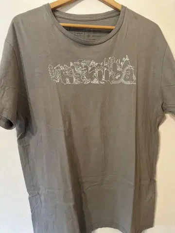 patagonia 그레이 T셔츠 Hakuba 한정 상품