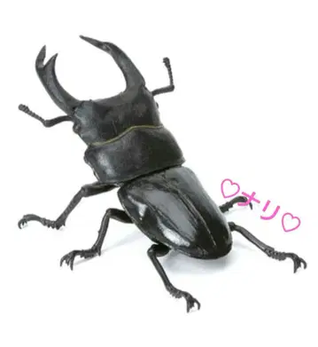 오오쿠와가타 생물대도감 미니 컬렉션 곤충 03 곤충 생물 가챠