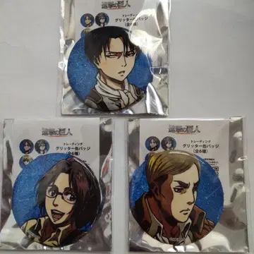 진격의 거인 아니크 글리터 캔뱃지 리바이 한지 엘빈