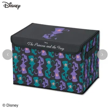 새상품 디즈니 파시리에&티아나 수납 박스 프린세스와 마법의 키스