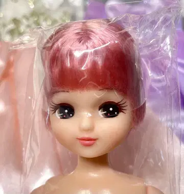 리카짱 드레스 2벌 인형 교실 리카짱 캐슬 오타노시미 인형