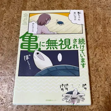계속 거북이에게 무시당하고 있습니다